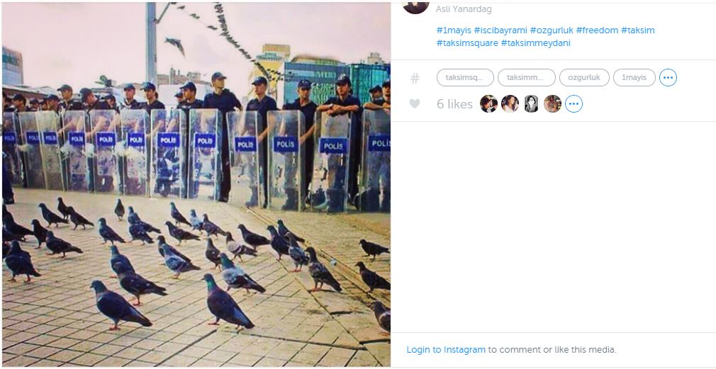 Pigeons stand in-front of Turkish riot police 